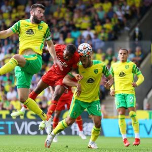 Watford, brutta caduta in casa : 3-0 del Norwich