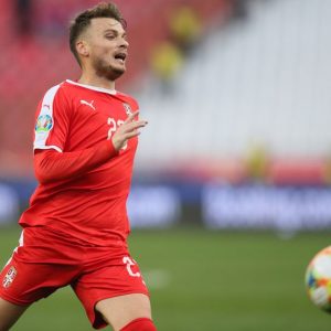 Ufficiale; Adem Ljajic ritorna in patria; Ha firmato con il Novi Pazar